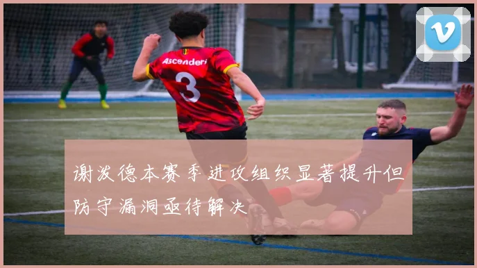 谢泼德本赛季进攻组织显著提升但防守漏洞亟待解决